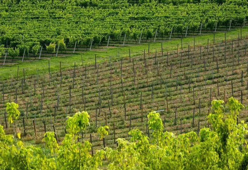 簡易ホテル Casa Munfrà