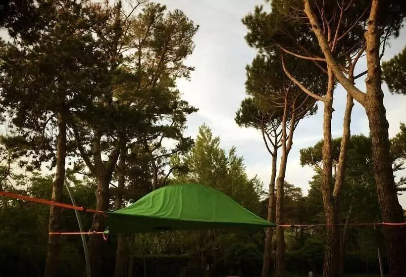 ホテル Camping Amalasunta