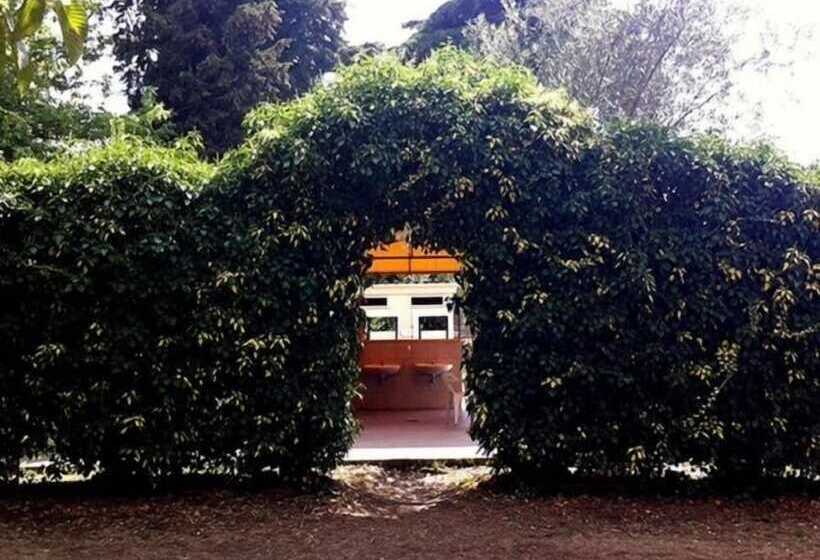 فندق Camping Amalasunta