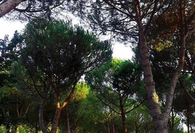 فندق Camping Amalasunta