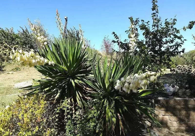 Agriturismo Colle Al Sole