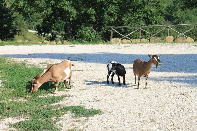 Agriturismo Sant Angelo