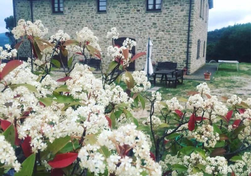 Agriturismo Sant Angelo