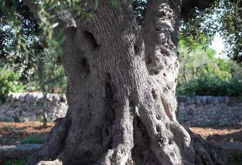 تختخواب و صبحانه Pietra Pesara