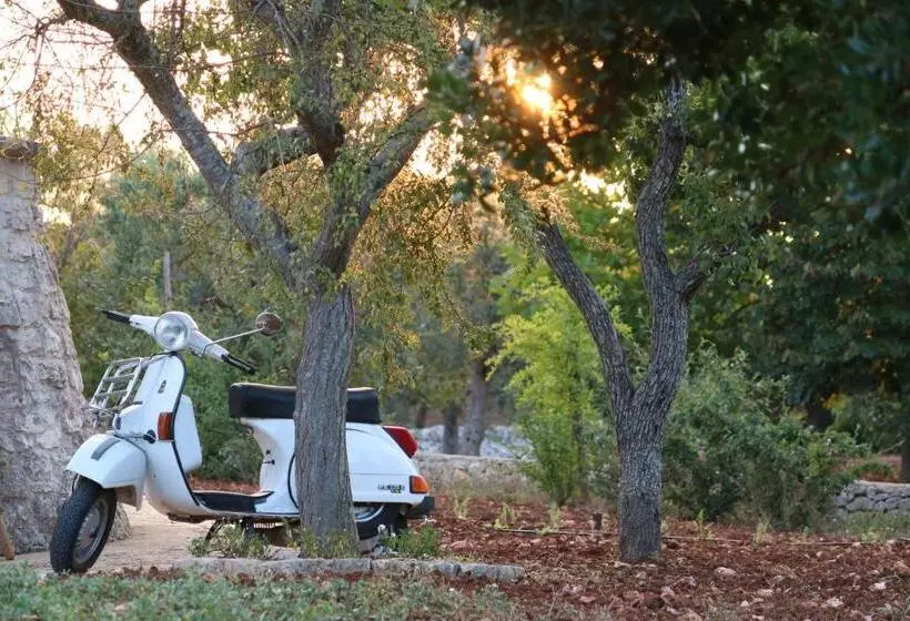 تختخواب و صبحانه Pietra Pesara