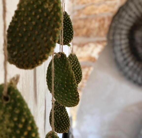 צימר Pietra Pesara