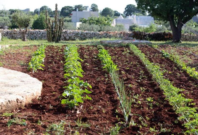 צימר Pietra Pesara