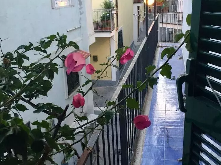 ペンション B&b La Bouganville