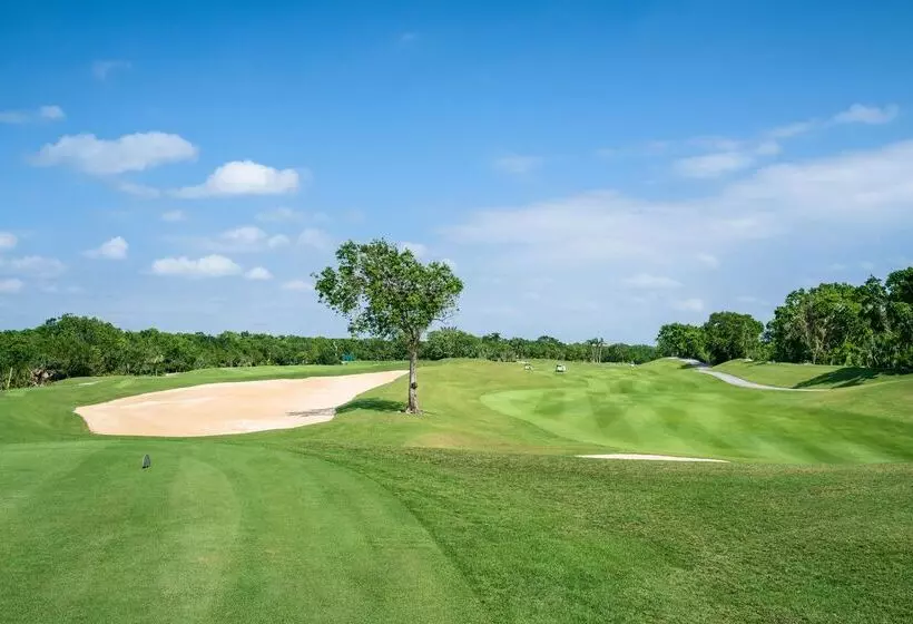 酒店 Iberostar Selection Paraíso Maya Suites