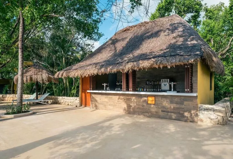 酒店 Iberostar Selection Paraíso Maya Suites