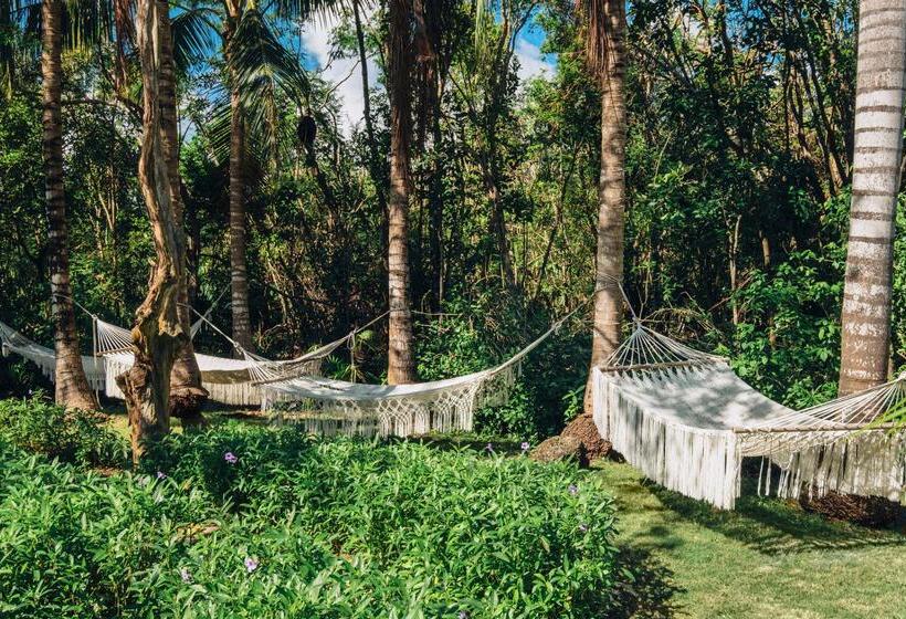 Hotel Iberostar Selection Paraíso Maya Suites