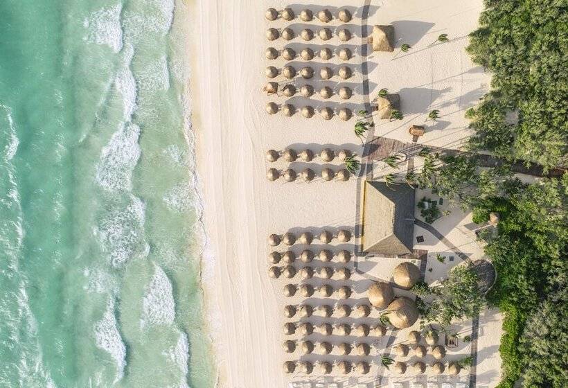 Hotel Iberostar Selection Paraíso Maya Suites