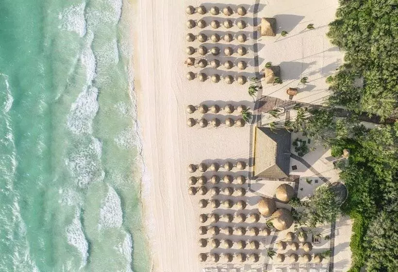 酒店 Iberostar Selection Paraíso Maya Suites