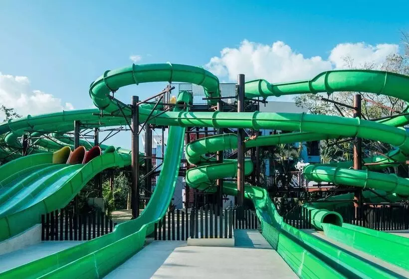 酒店 Iberostar Selection Paraíso Maya Suites