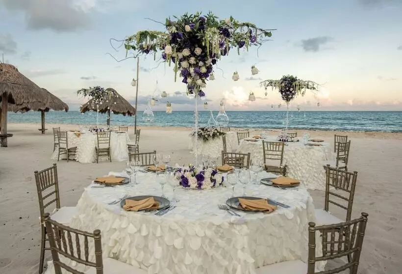 酒店 Iberostar Selection Paraíso Maya Suites