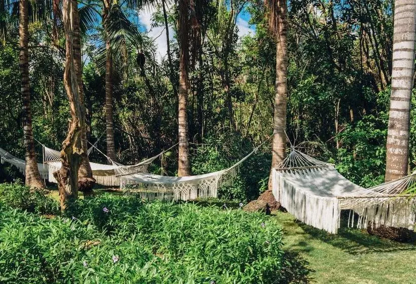 酒店 Iberostar Selection Paraíso Maya Suites