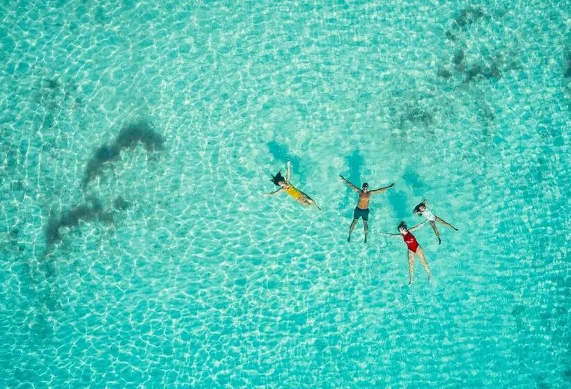 酒店 Iberostar Selection Paraíso Maya Suites