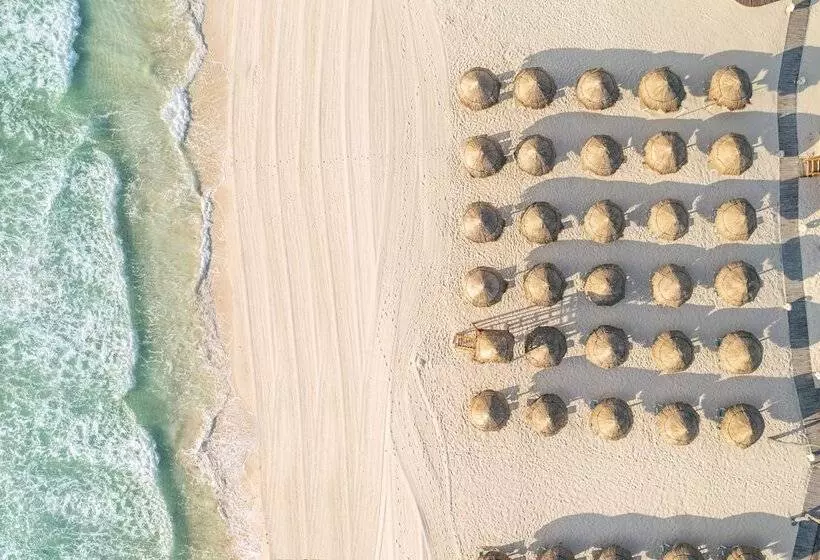 酒店 Iberostar Selection Paraíso Maya Suites