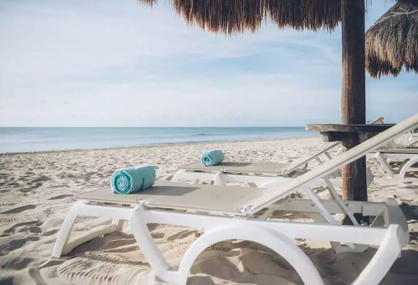 酒店 Iberostar Selection Paraíso Maya Suites