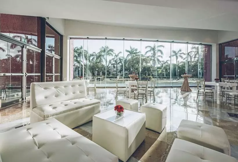 酒店 Iberostar Selection Paraíso Maya Suites
