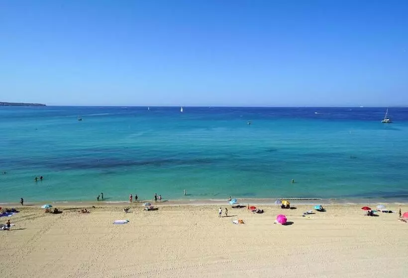 Hotel Eden Palma Playa Adults Only