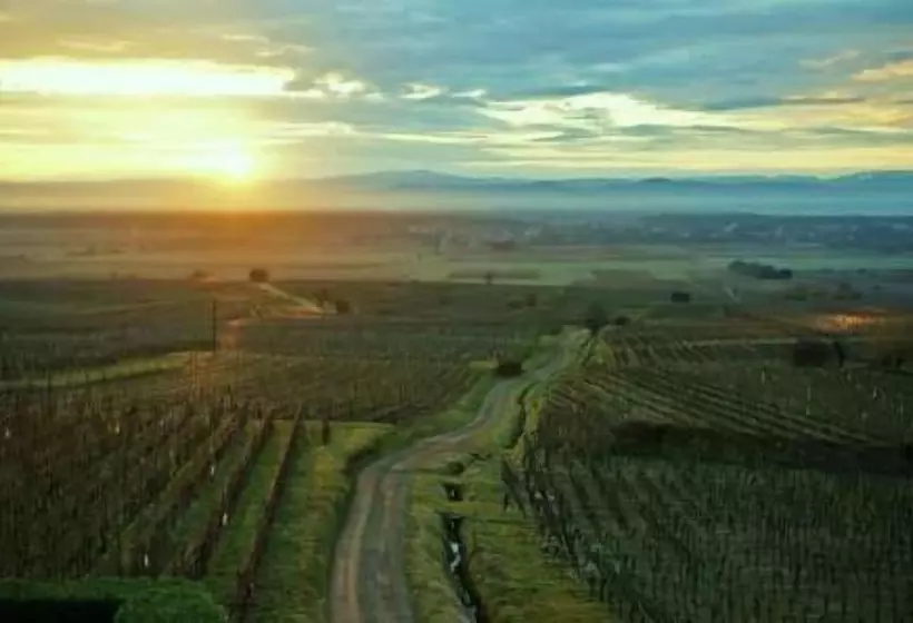 Отель Restaurant Au Riesling