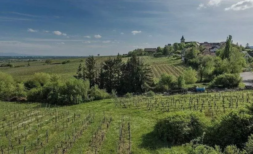 Отель Restaurant Au Riesling