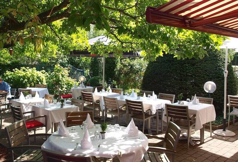 Отель Restaurant Aux Sapins