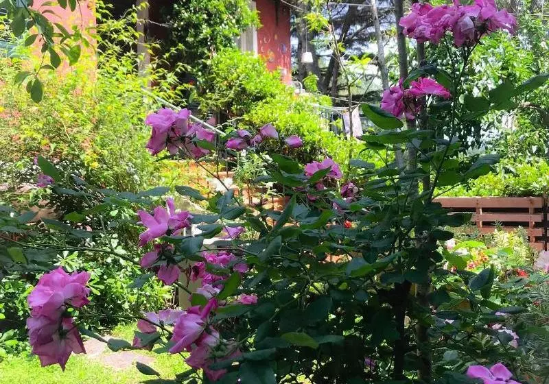 B&b Ambarabà