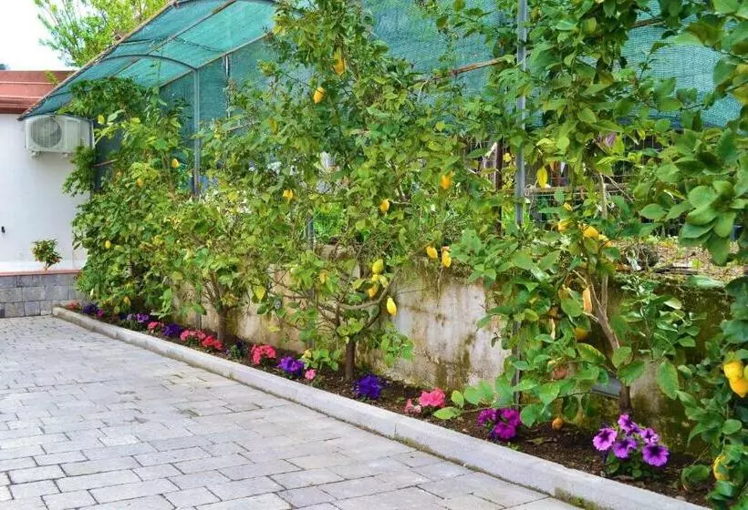 ベッドアンドブレックファースト Casa Fiorita