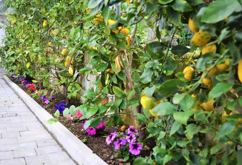 ベッドアンドブレックファースト Casa Fiorita