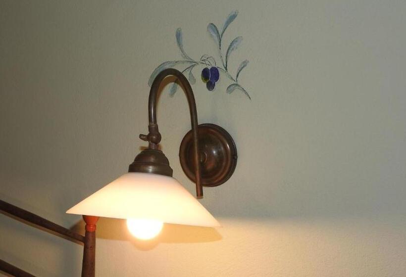 교외 호텔 Ca Belvedere