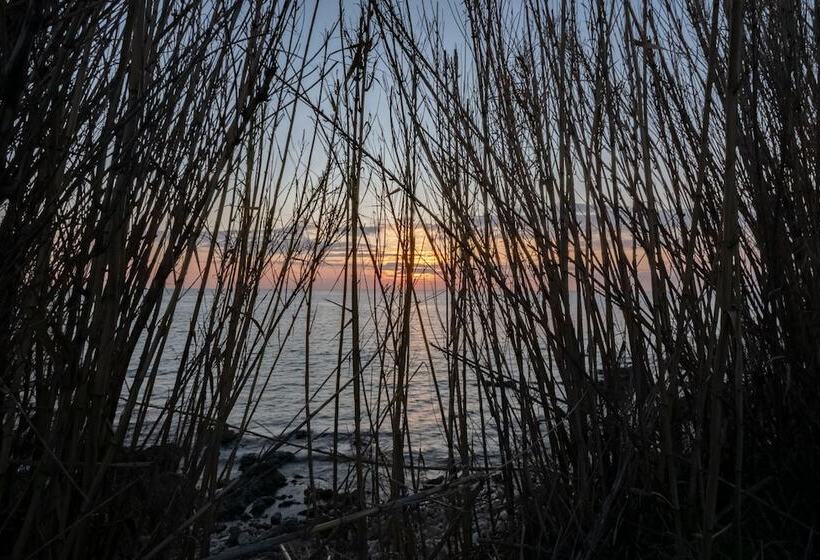 膳宿费 Guesthouse Villa Ilios