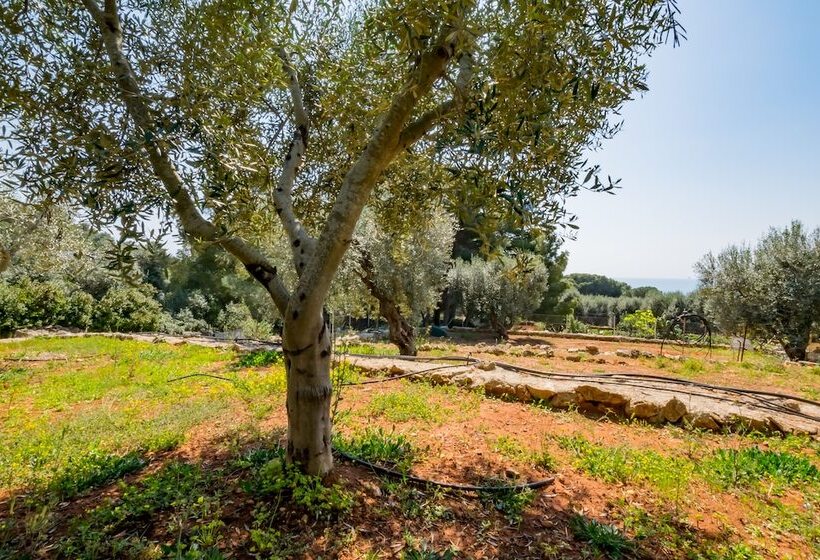 膳宿费 Guesthouse Villa Ilios