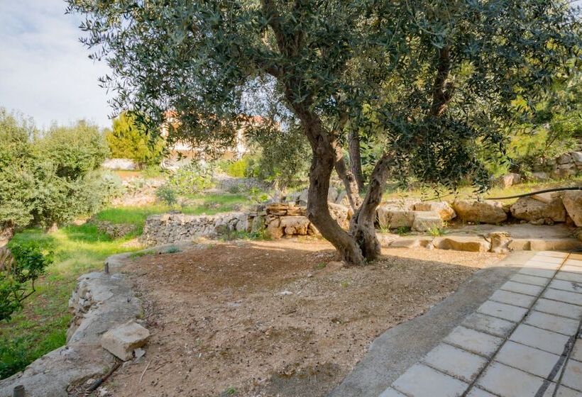 膳宿费 Guesthouse Villa Ilios