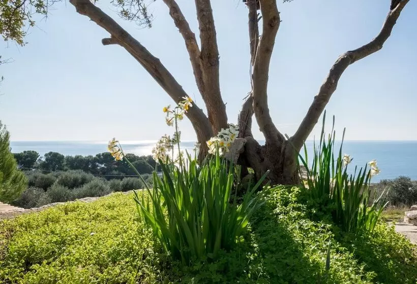 ペンション Guesthouse Villa Ilios