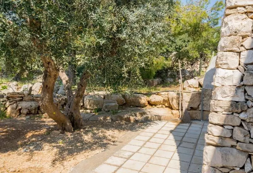 ペンション Guesthouse Villa Ilios
