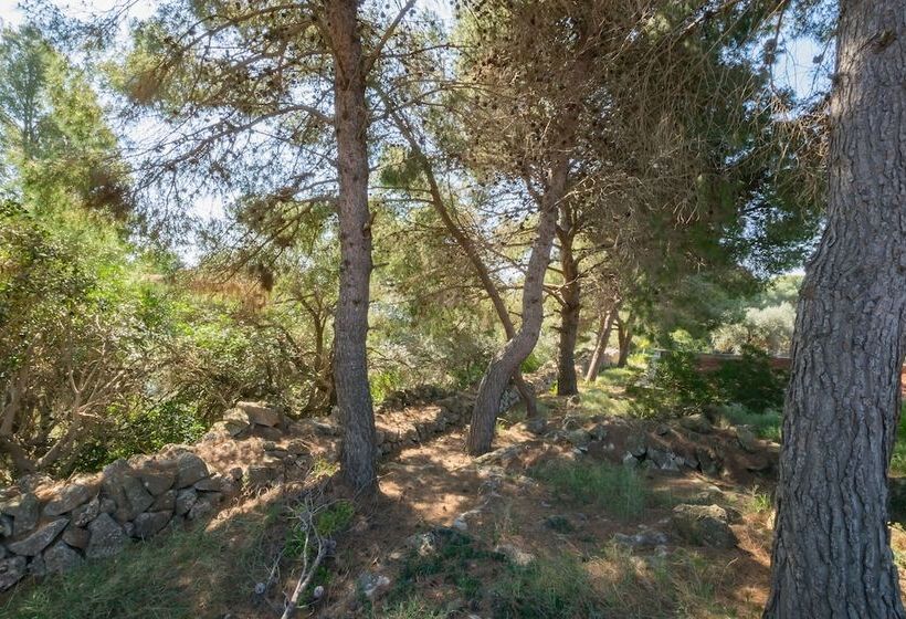 膳宿费 Guesthouse Villa Ilios