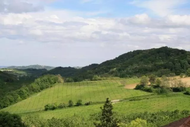 Aamiaismajoitus (B&B) Canonica Dei Templari