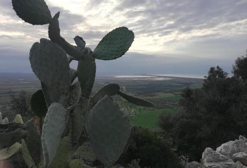 B&b Palazzo De Matteis