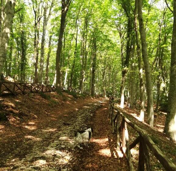 B&b Palazzo De Matteis