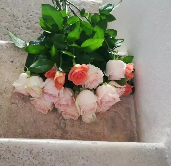 B&b Palazzo De Matteis