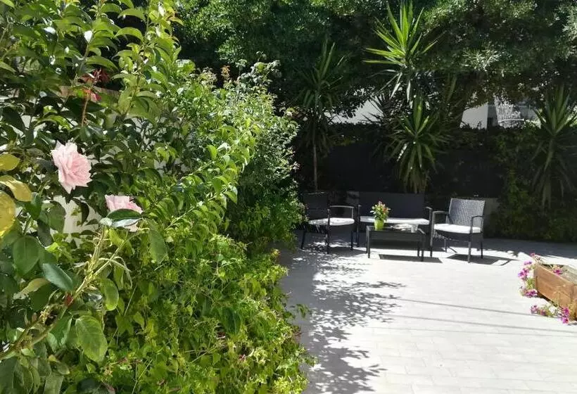 Aamiaismajoitus (B&B) Affittacamere I Principi Del Conero Cir 00041