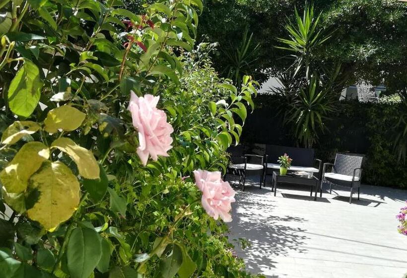 Bed and Breakfast Affittacamere I Principi Del Conero Cir 00041