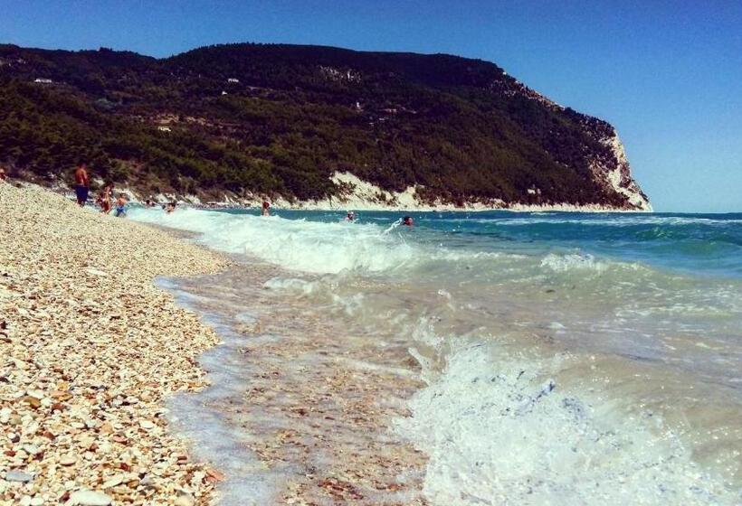 Bed and Breakfast Affittacamere I Principi Del Conero Cir 00041