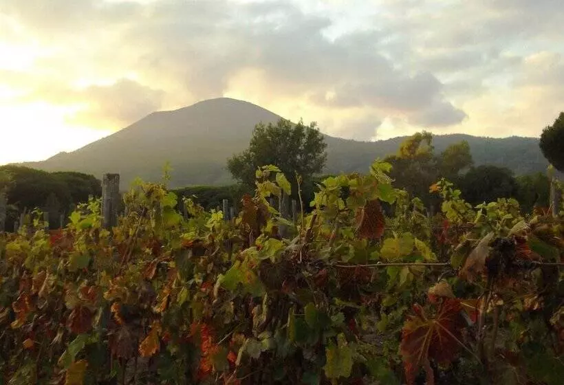 ベッドアンドブレックファースト Casale Rendine