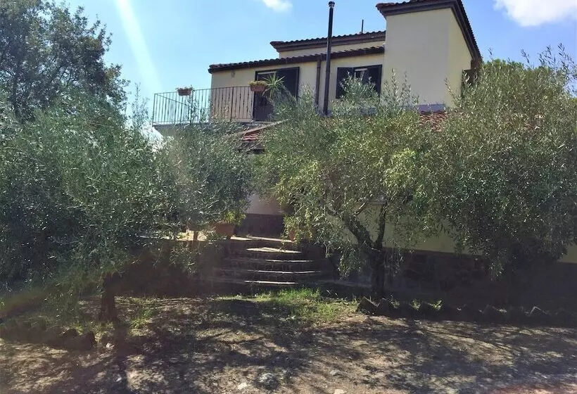 ベッドアンドブレックファースト Casale Rendine