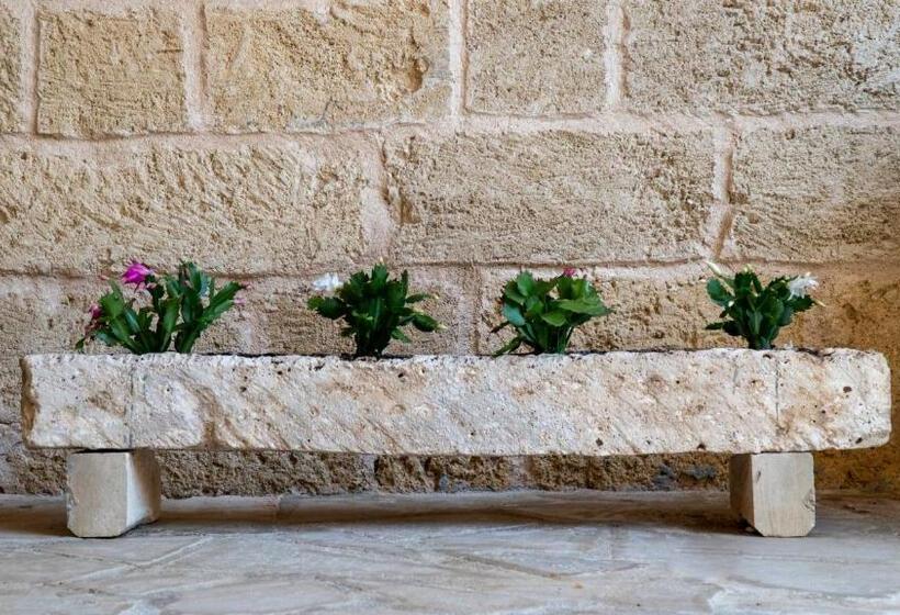 مبيت وإفطار La Vecchia Corte