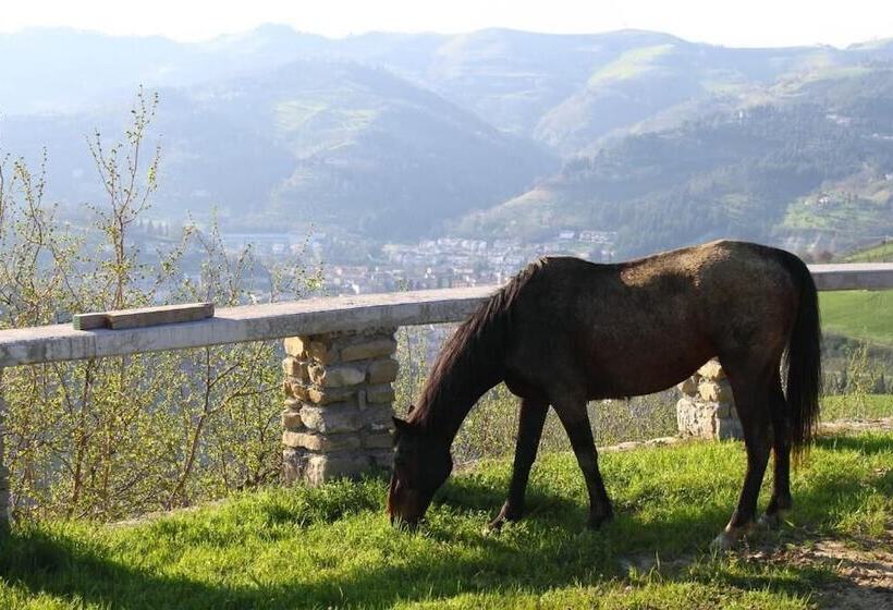 בית מלון כפרי Agriturismo Re Piano