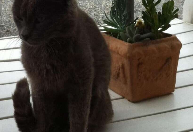 펜션 Il Passatempo Di Enrica